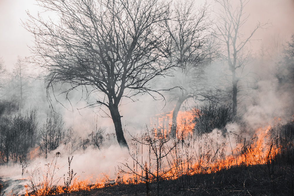 Incendio en la guerra